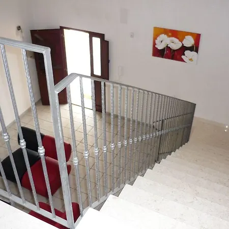 Fedelisa